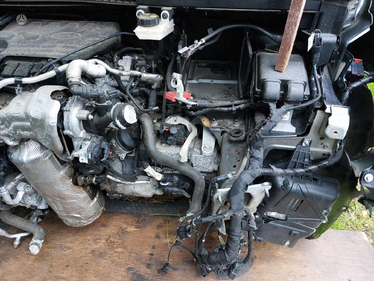 Ford Rida 50000 km