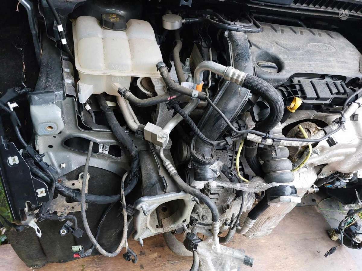 Ford Rida 50000 km