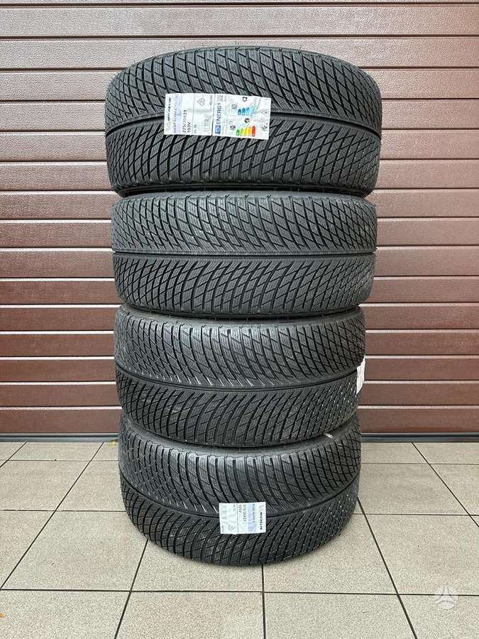 Michelin Alpin 5, winter 315/30 R21
