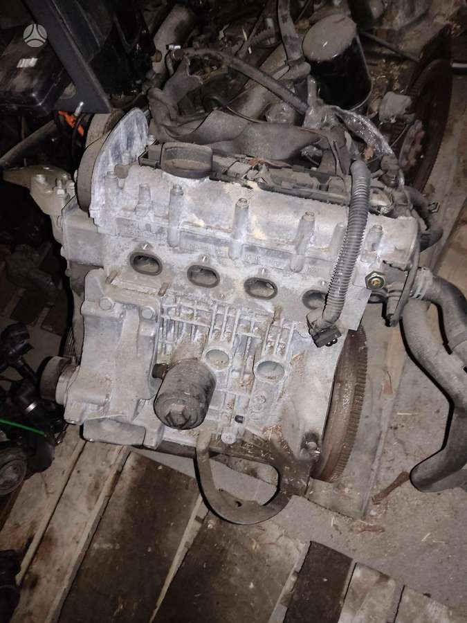 Volkswagen Polo, Cgg