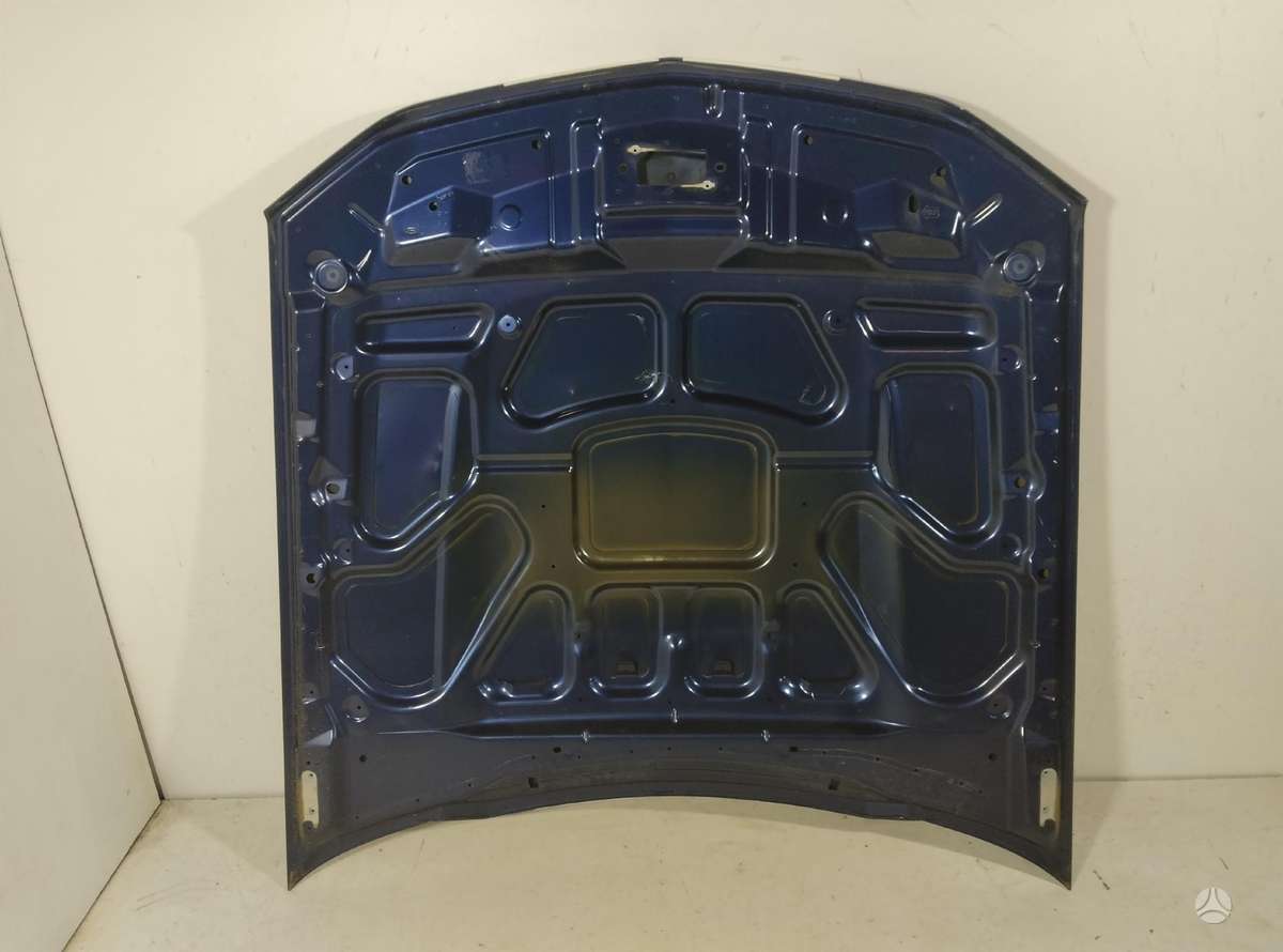 Ford Mustang hood (front, rear)