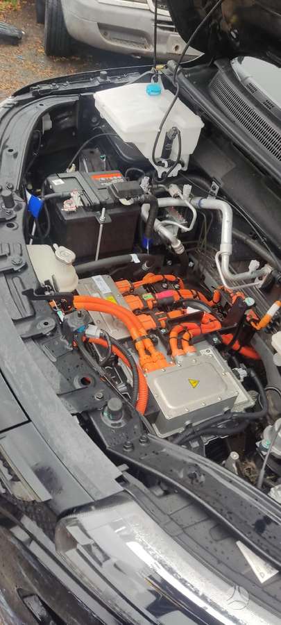 Dacia Spring 37069885048