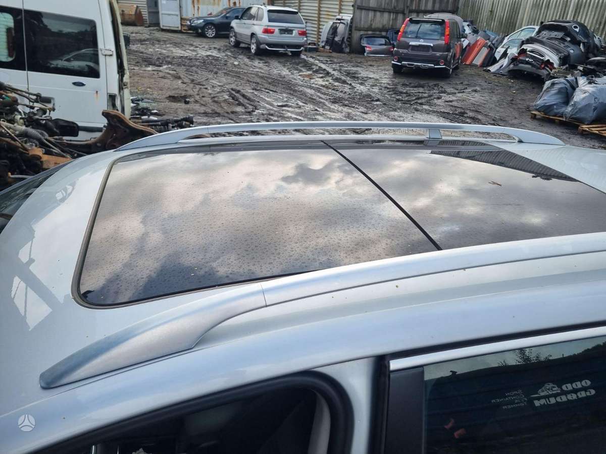 Volkswagen Golf Europa 4x4