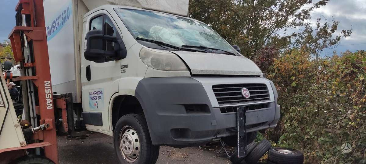 Fiat Ducato, cargo vans