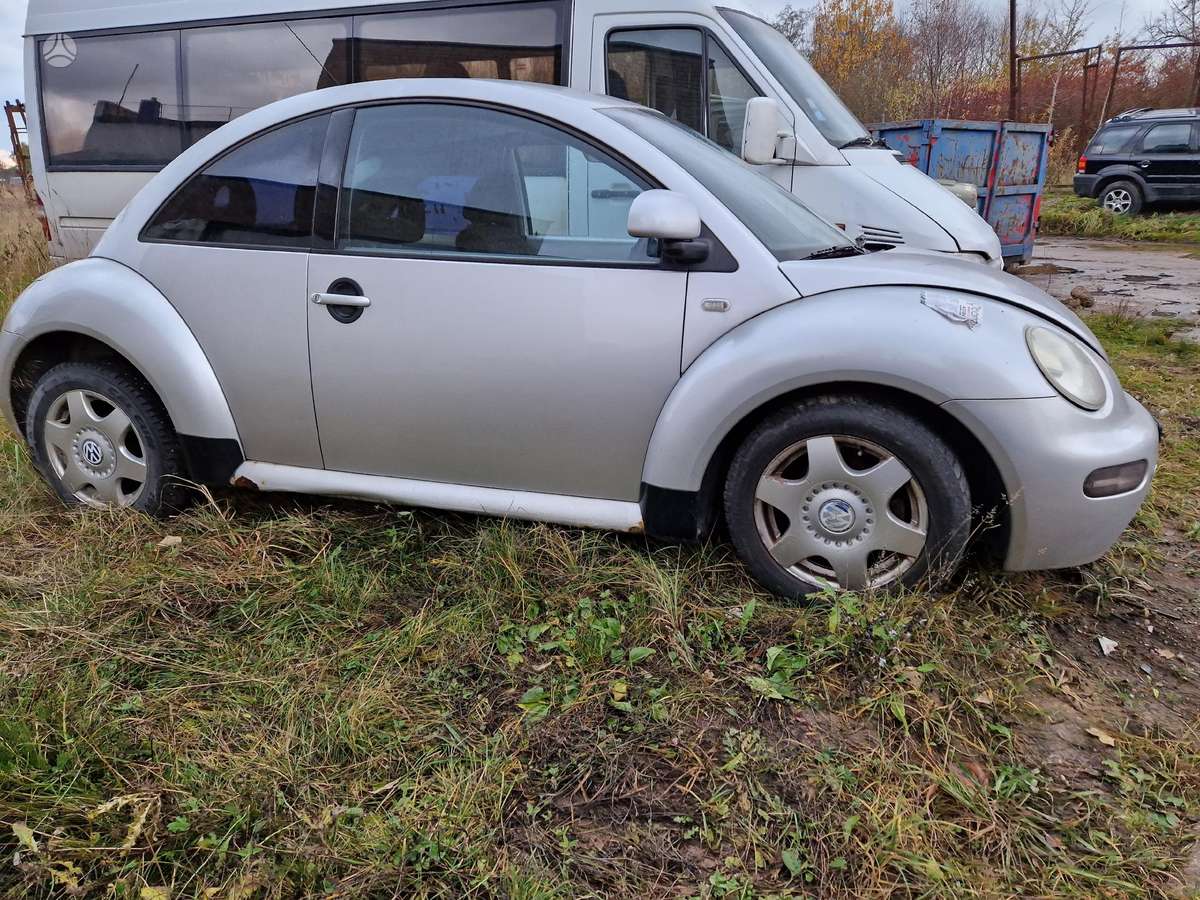 Volkswagen Beetle Dalimis