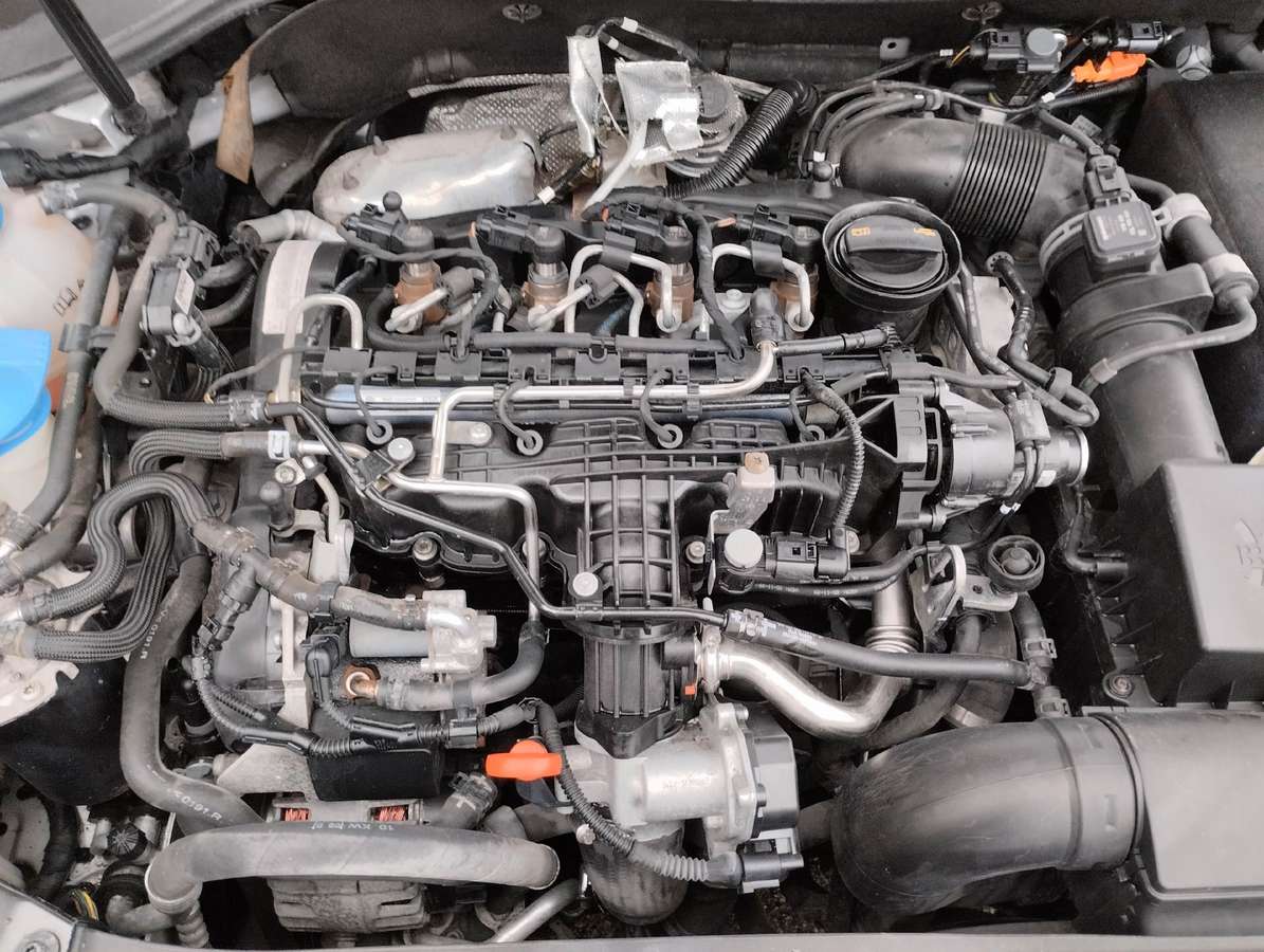 Volkswagen Golf, Cayc, dalimis