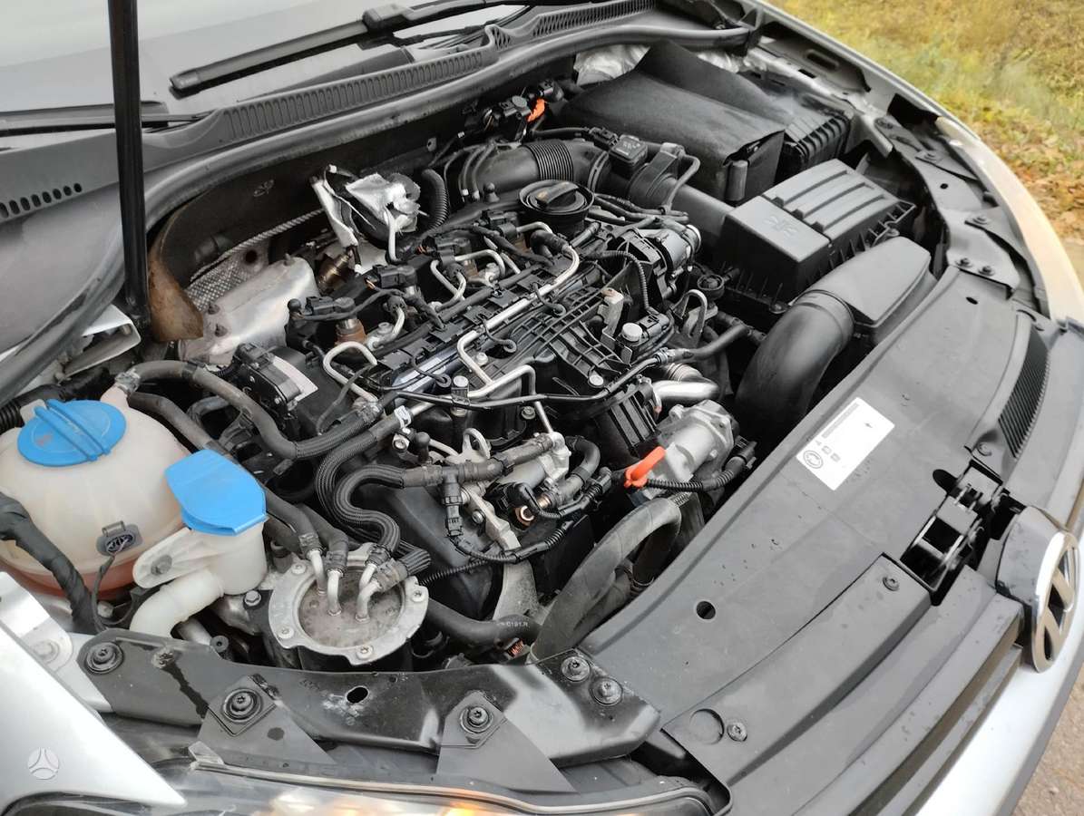 Volkswagen Golf, Cayc, dalimis