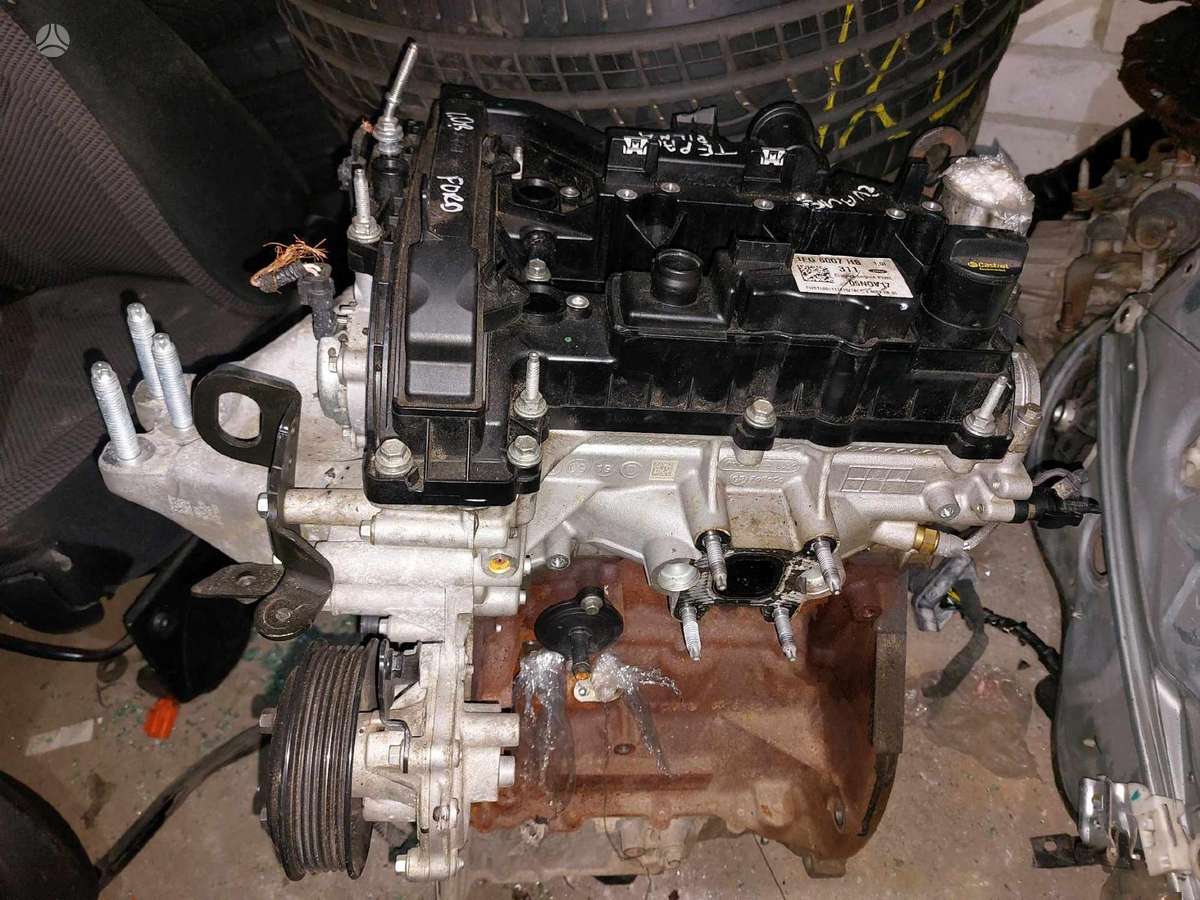 Ford EcoSport, YYJF