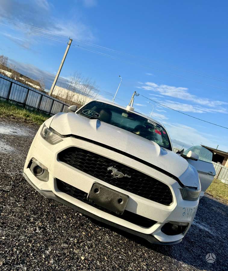 Ford Mustang dalimis