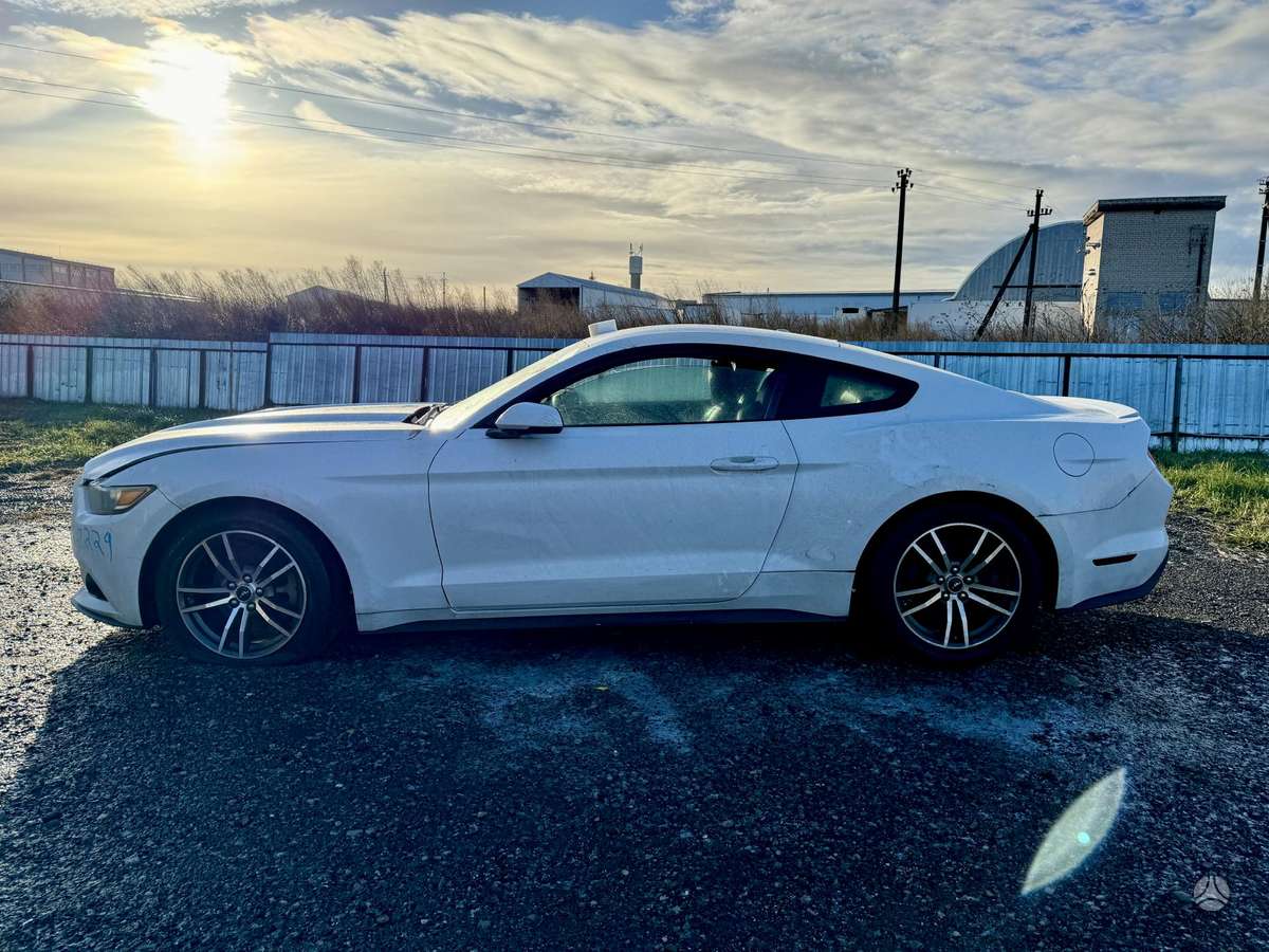 Ford Mustang dalimis