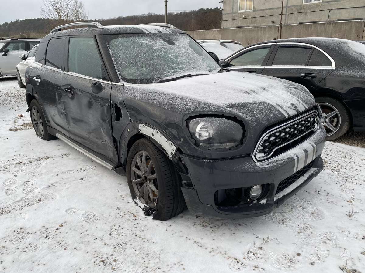Mini Countryman