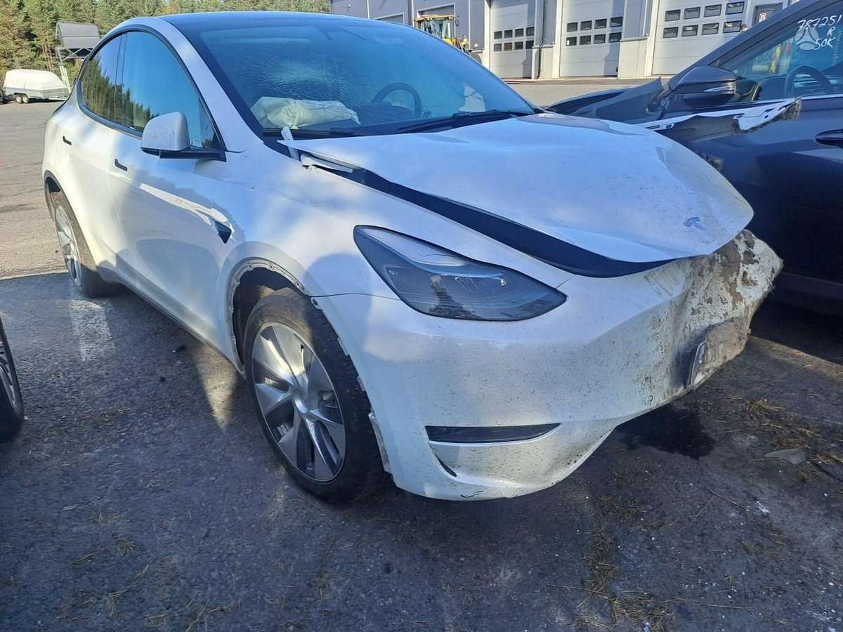 Tesla Model Y dalimis