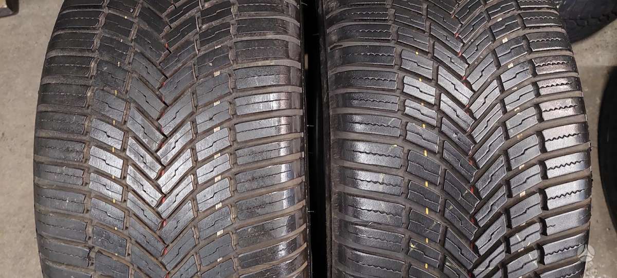 Bridgestone, all-season 255/50 R19