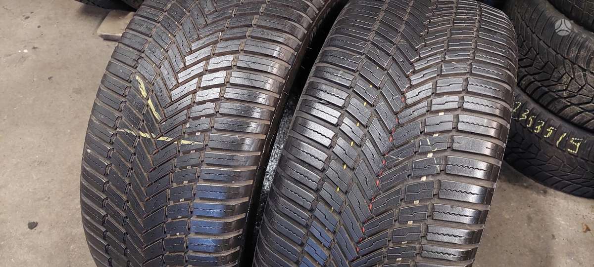 Bridgestone, all-season 255/50 R19