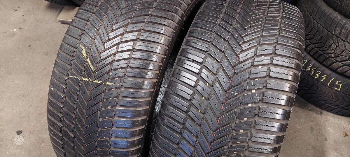 Bridgestone, всесезонные 255/50 R19