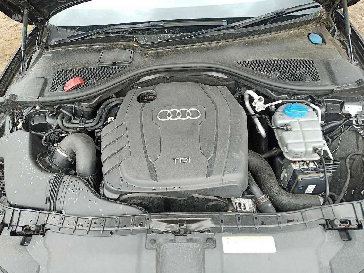 Audi A6 dalimis. Spalvos kodas ly9b