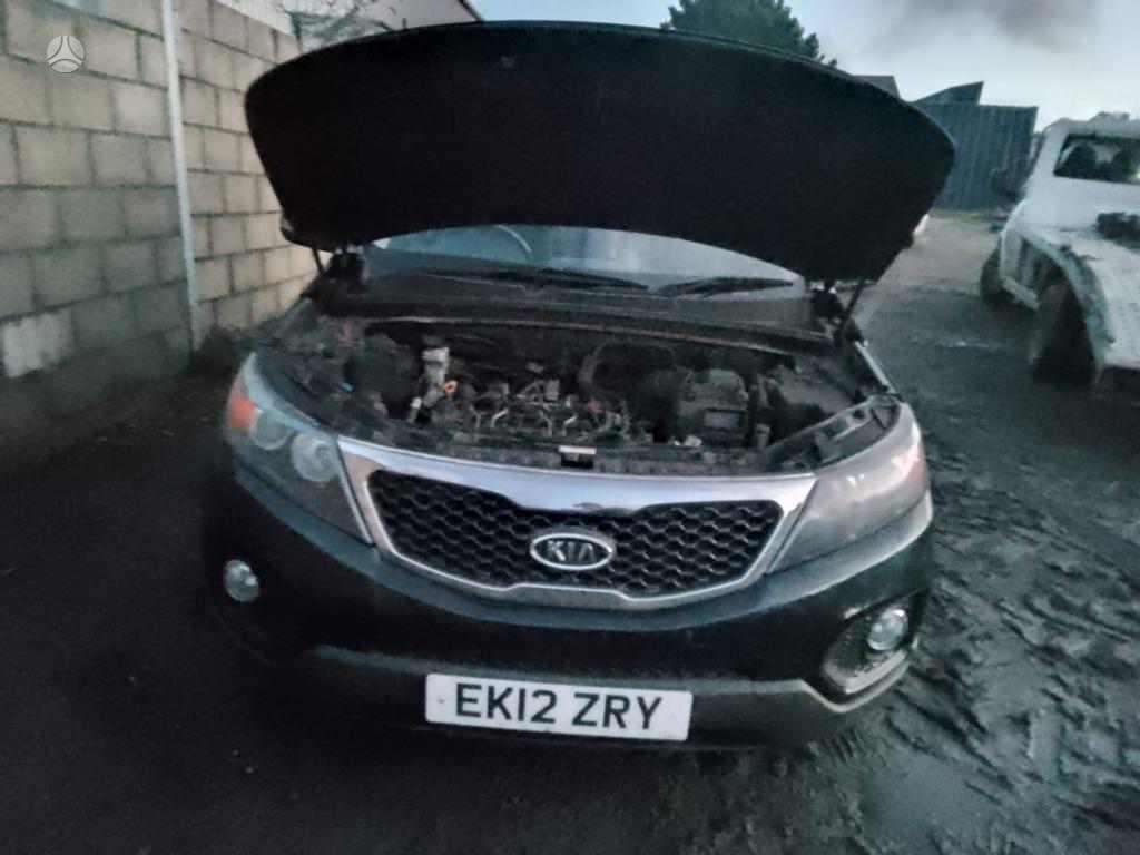 Kia Sorento dalimis
