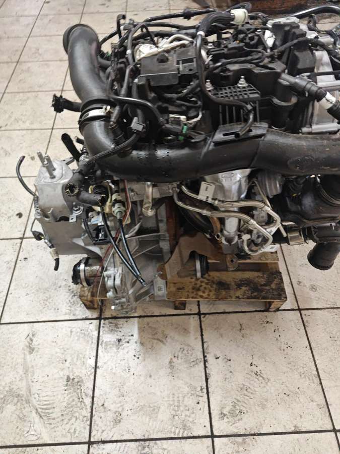 Ford Fiesta, M0jd