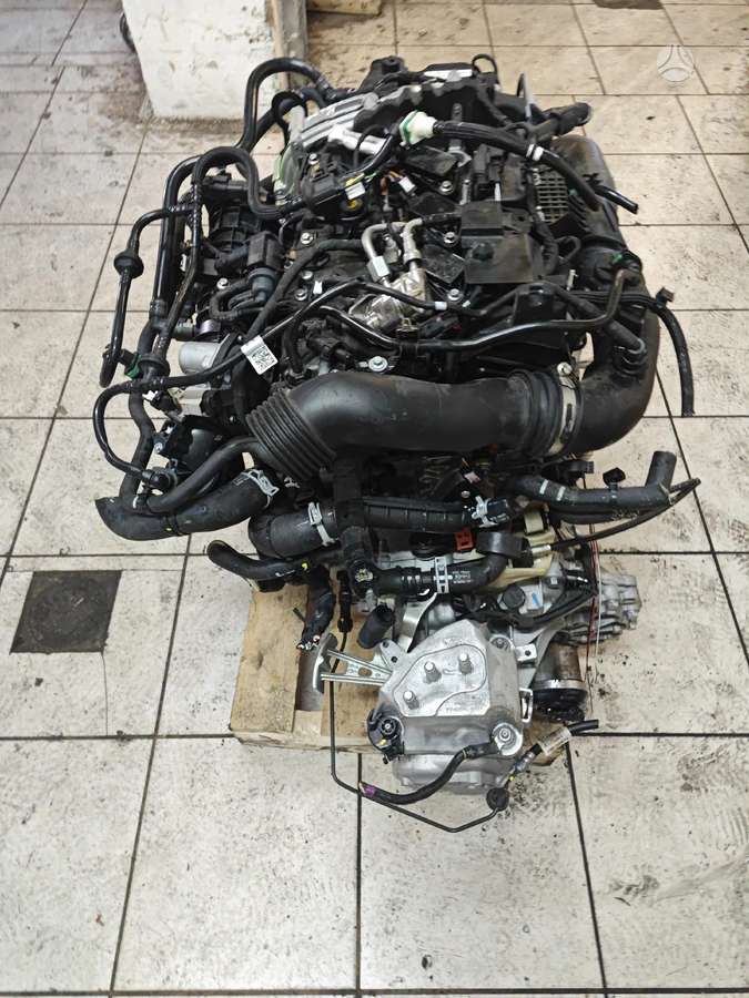 Ford Fiesta, M0jd