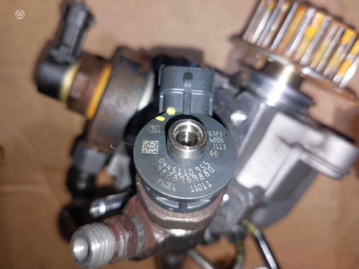 Ford Rida 50000 km