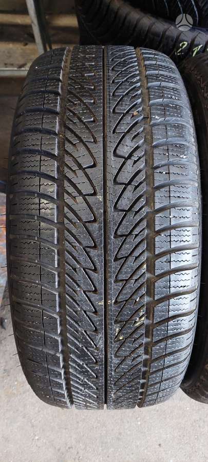 Goodyear, žieminės 225/40 R18