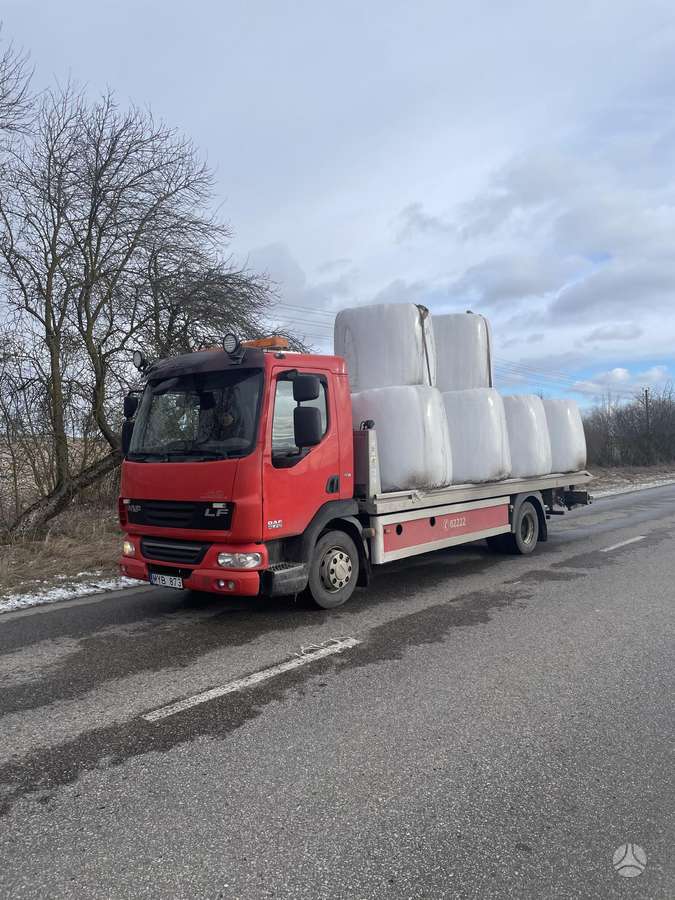 DAF FA 45.210, auto transporters