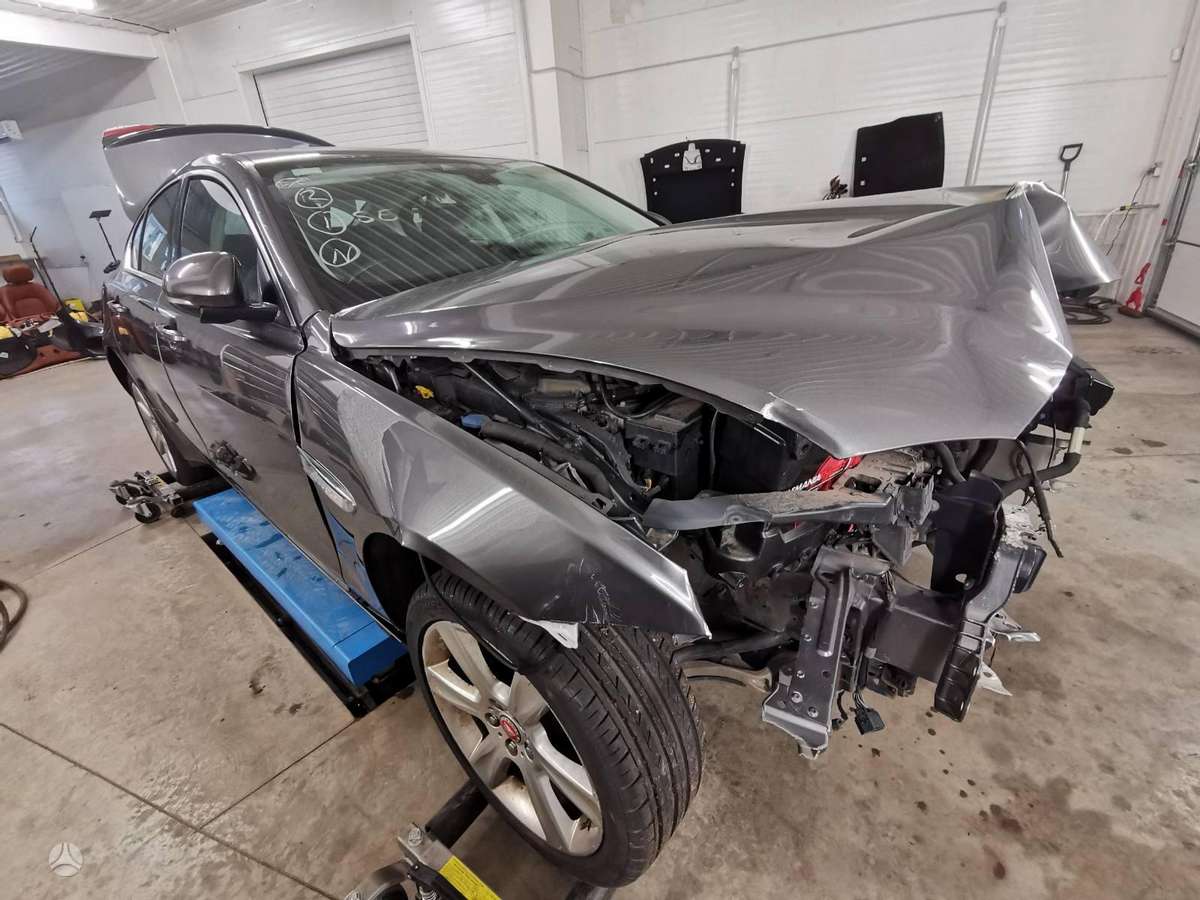Jaguar XE dalimis