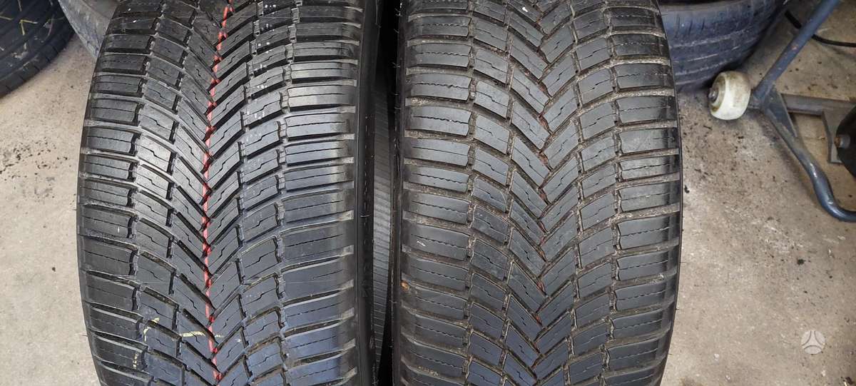 Bridgestone, universalios 225/40 R19