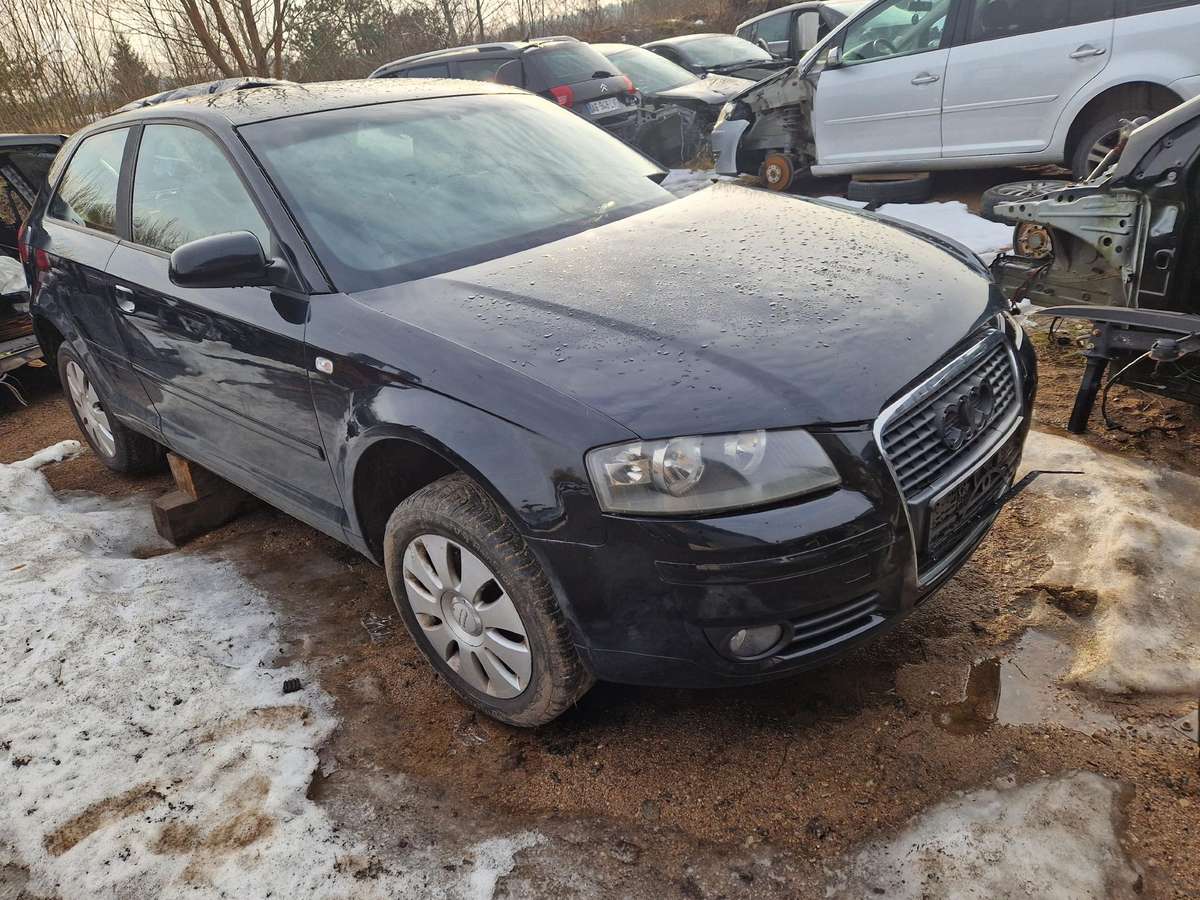 Audi A3 dalimis. Bls