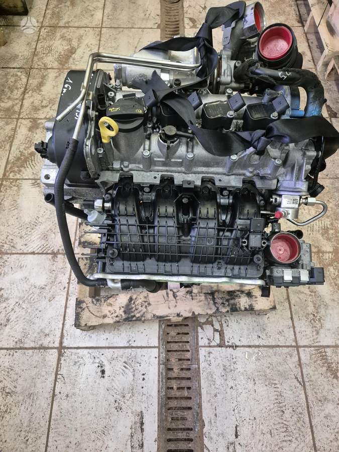 Volkswagen Golf, Cyv