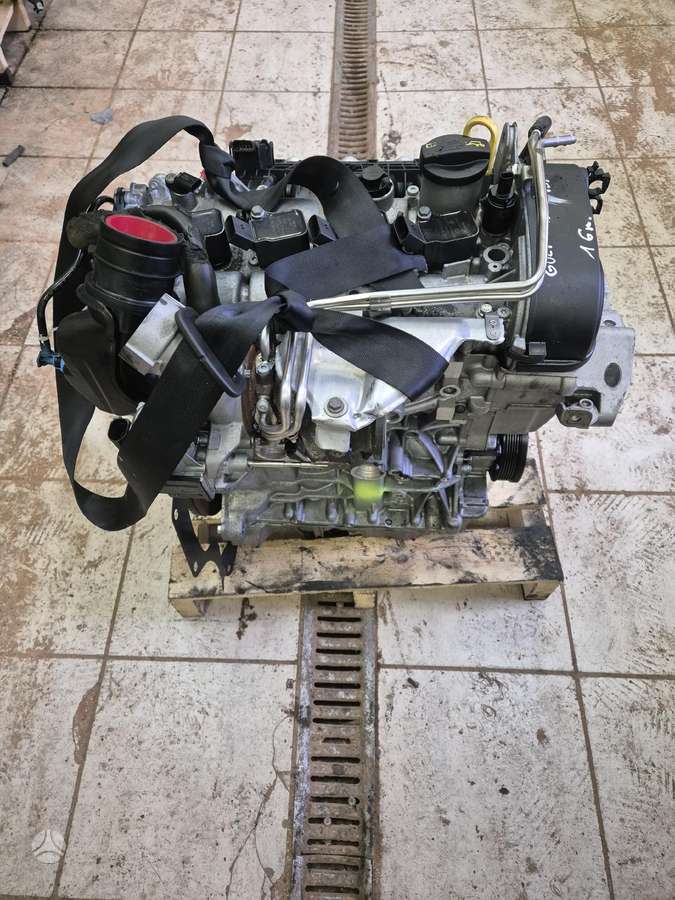 Volkswagen Golf, Cyv