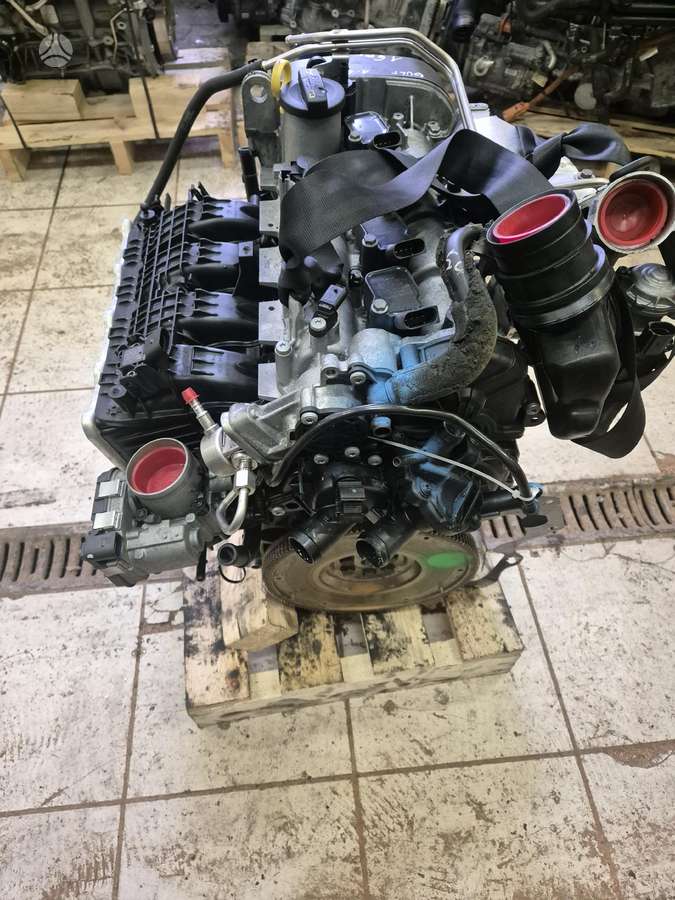 Volkswagen Golf, Cyv