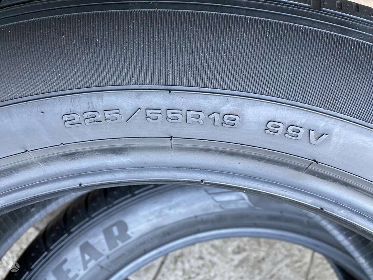 Goodyear Efficient grip, summer 225/55 R19