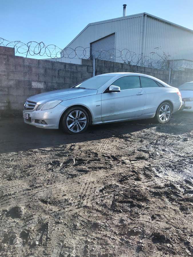 Mercedes-Benz E220 dalimis