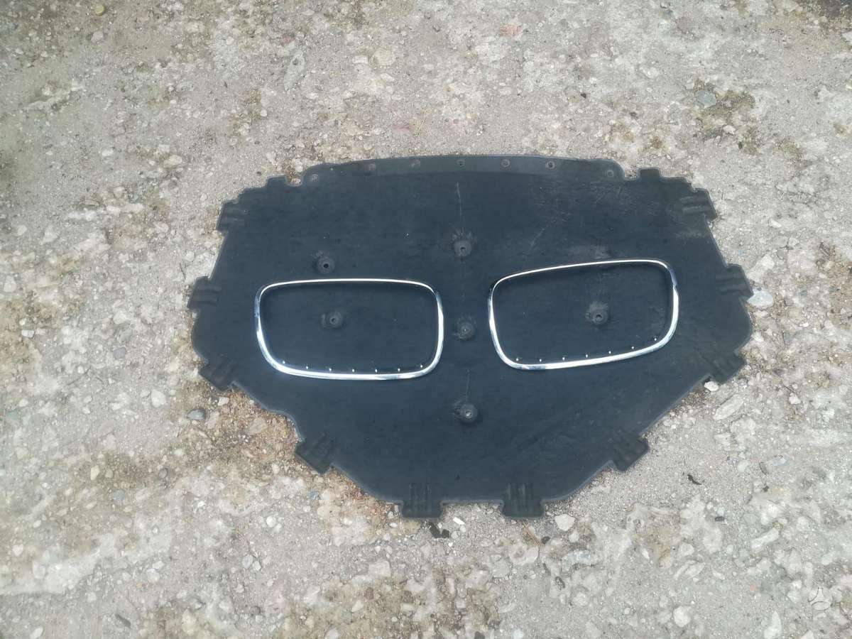 BMW X5, panele, dashboard