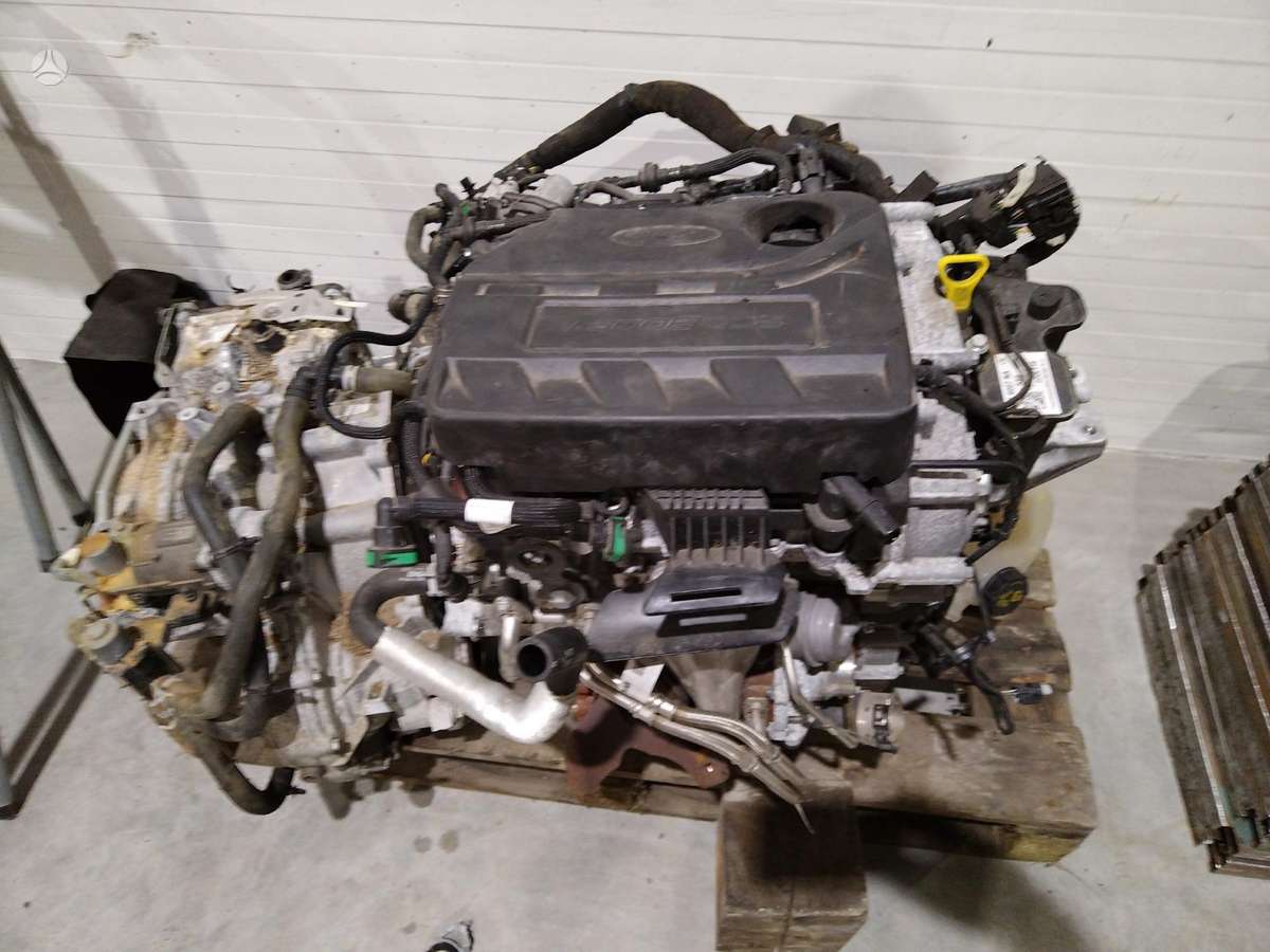 Ford Focus body parts