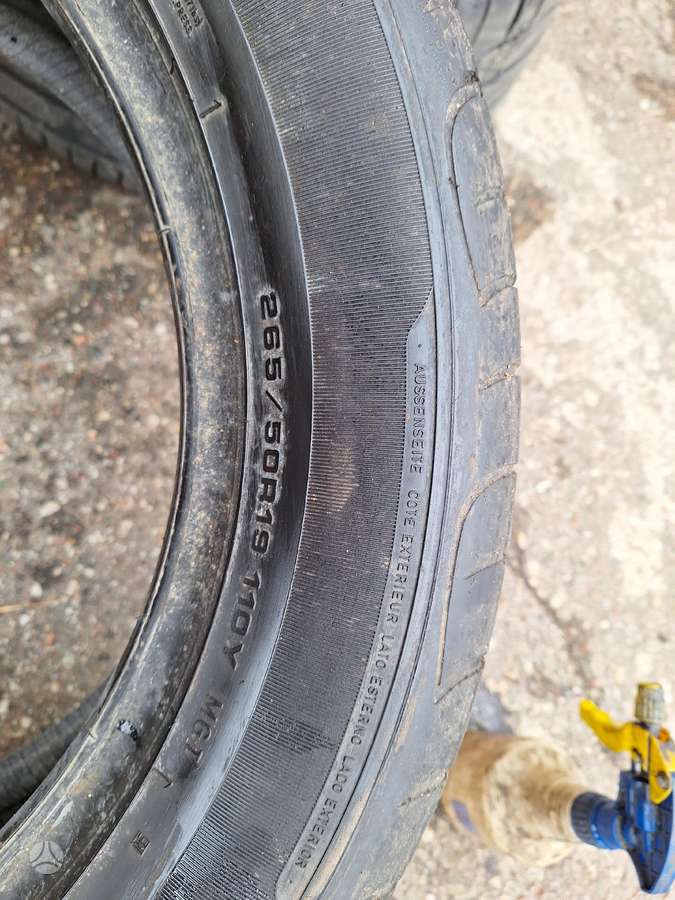 Goodyear, летние 265/50 R19