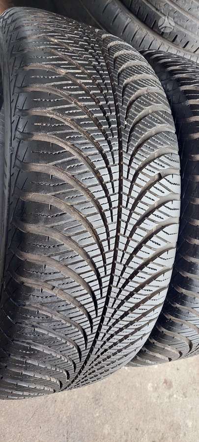 Goodyear, всесезонные 255/55 R19