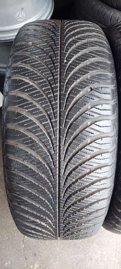 Goodyear, universalios 255/55 R19