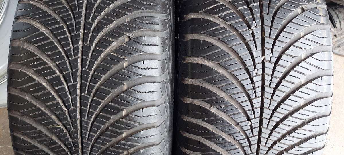Goodyear, universalios 255/55 R19