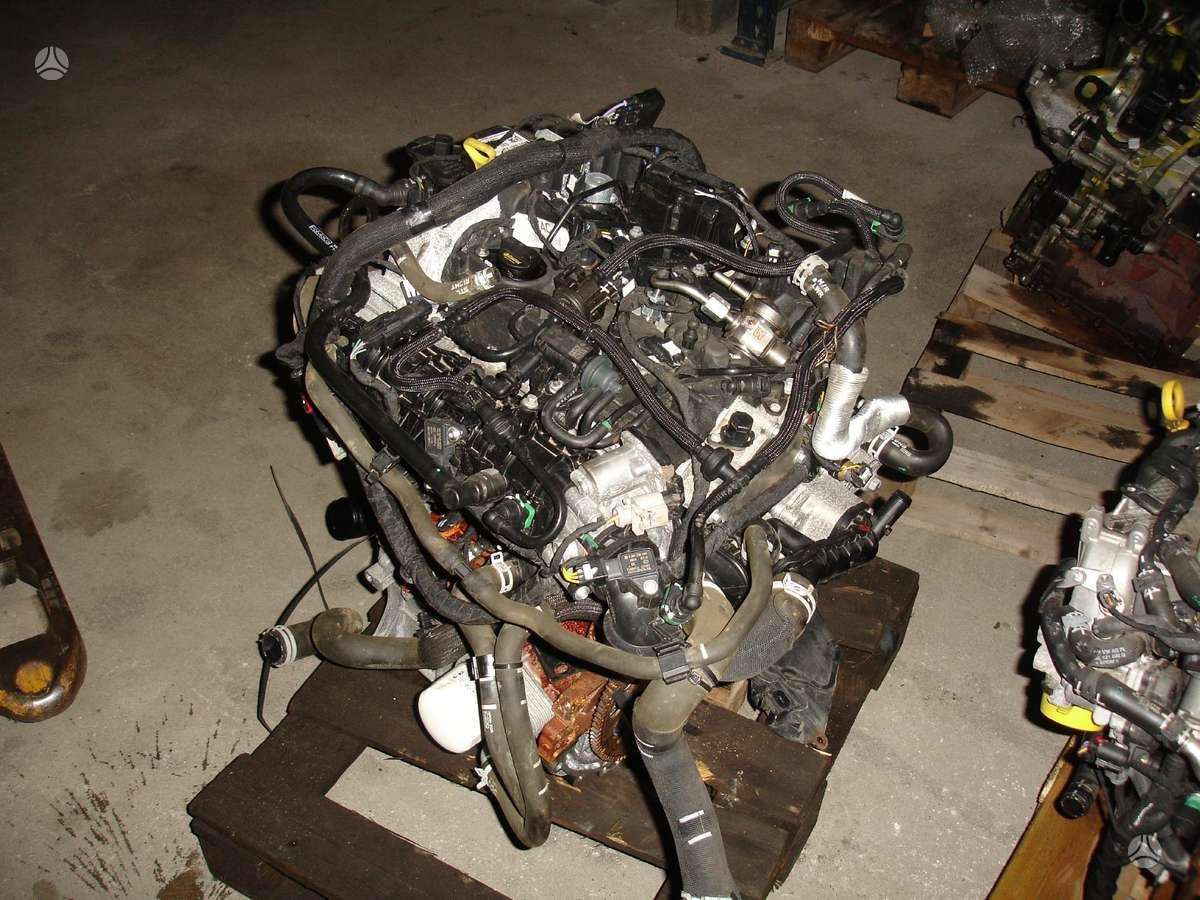 Ford Focus, B7DA, variklio detalės