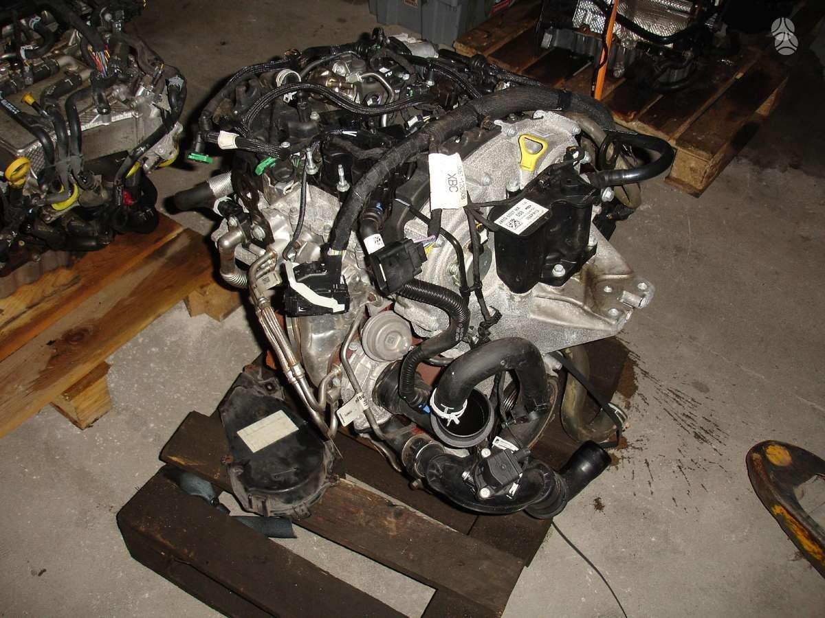 Ford Focus, B7DA, variklio detalės