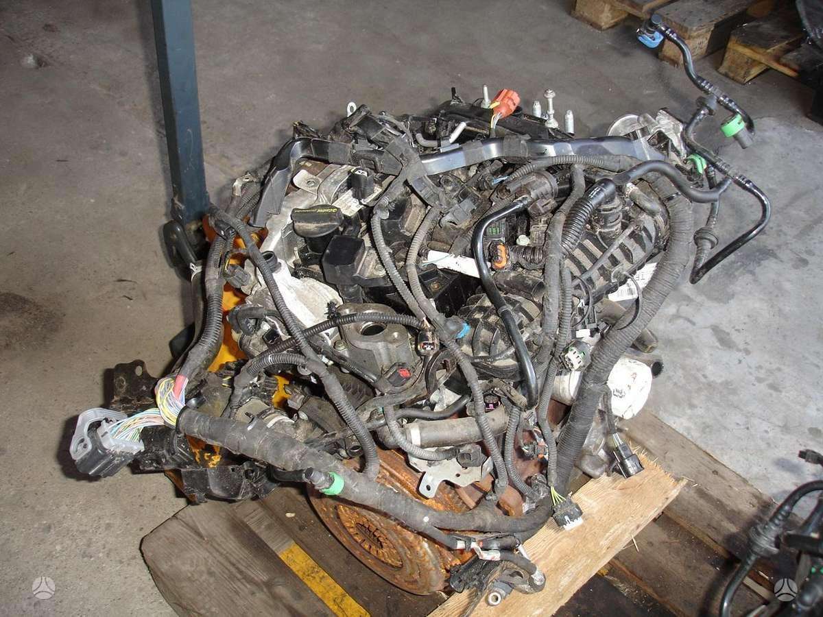 Ford Focus, M1DD, variklio detalės