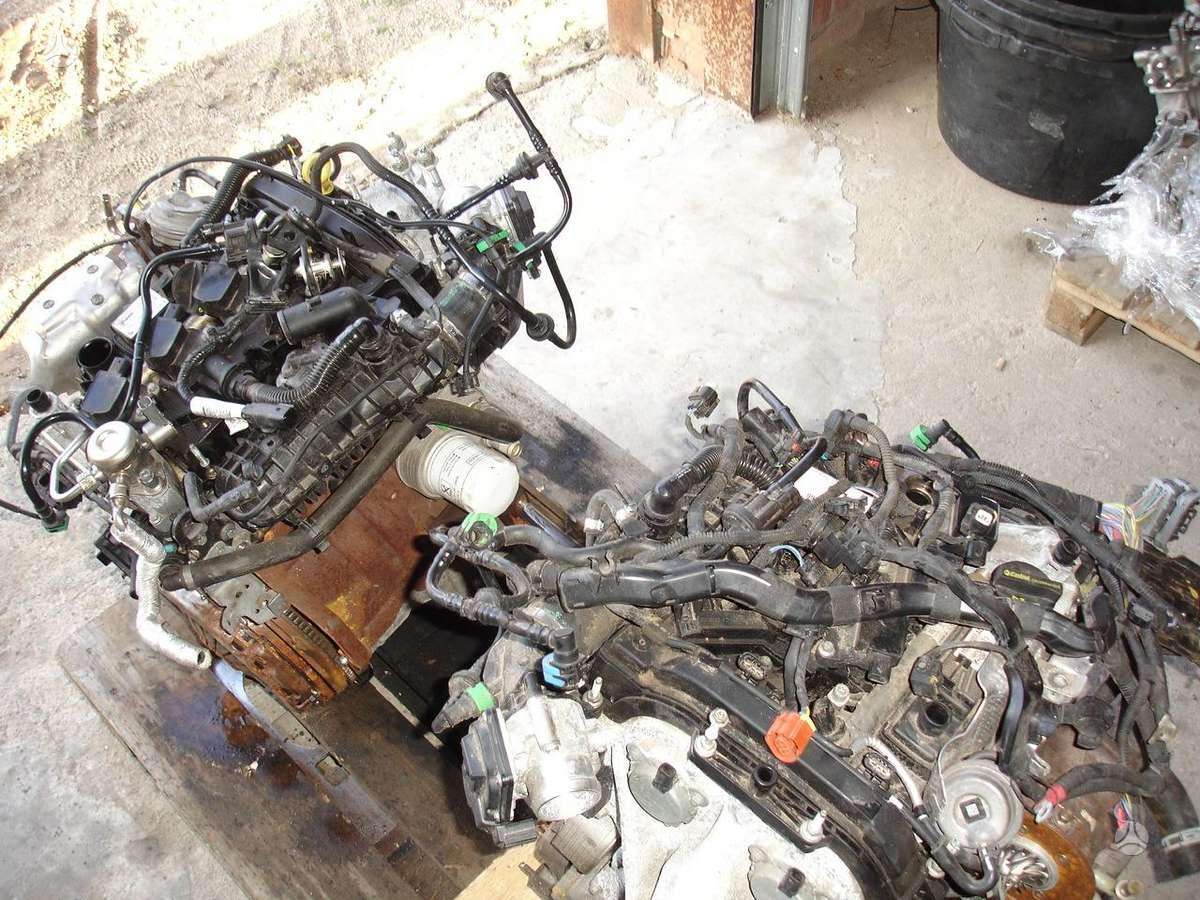 Ford Focus, M1DD, variklio detalės