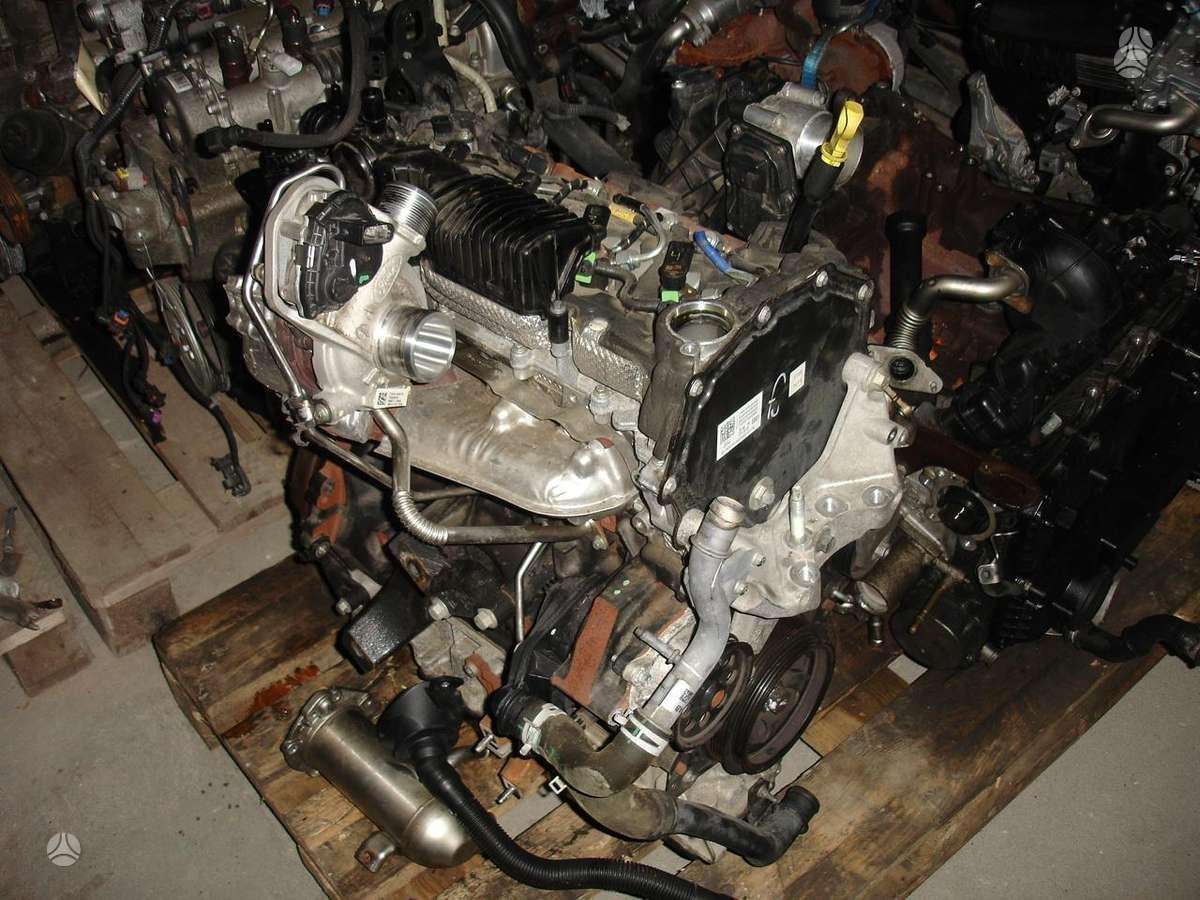 Ford Transit Custom, YMF6 YNF6, variklio detalės