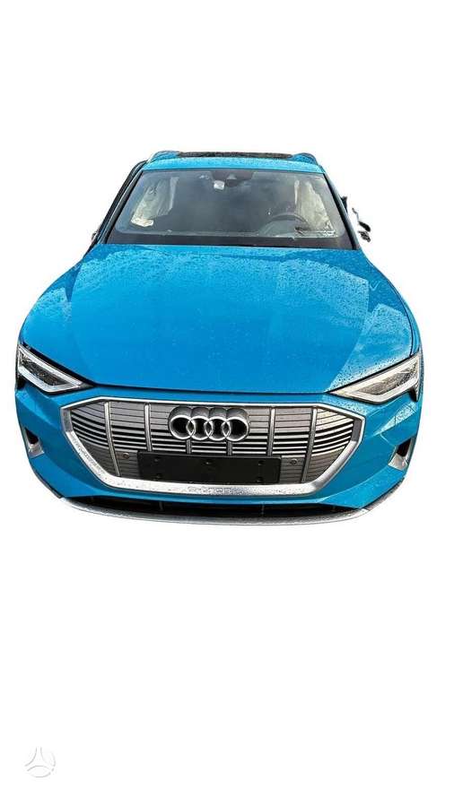 Audi e-tron dalimis