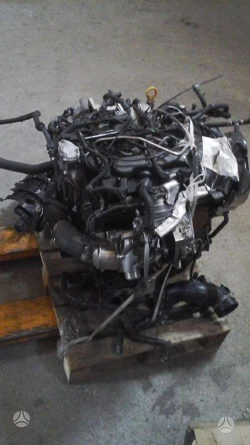 Skoda Octavia, Cun, variklio detalės