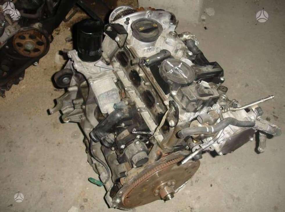Volkswagen Golf variklio detalės