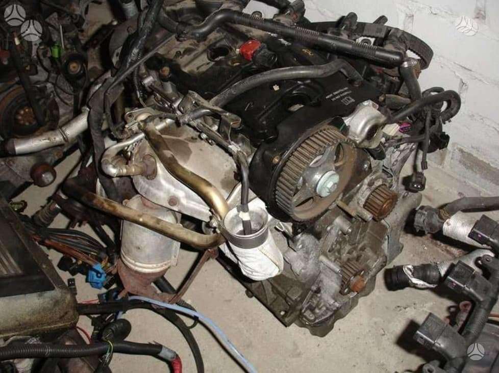 Volkswagen Passat variklio detalės