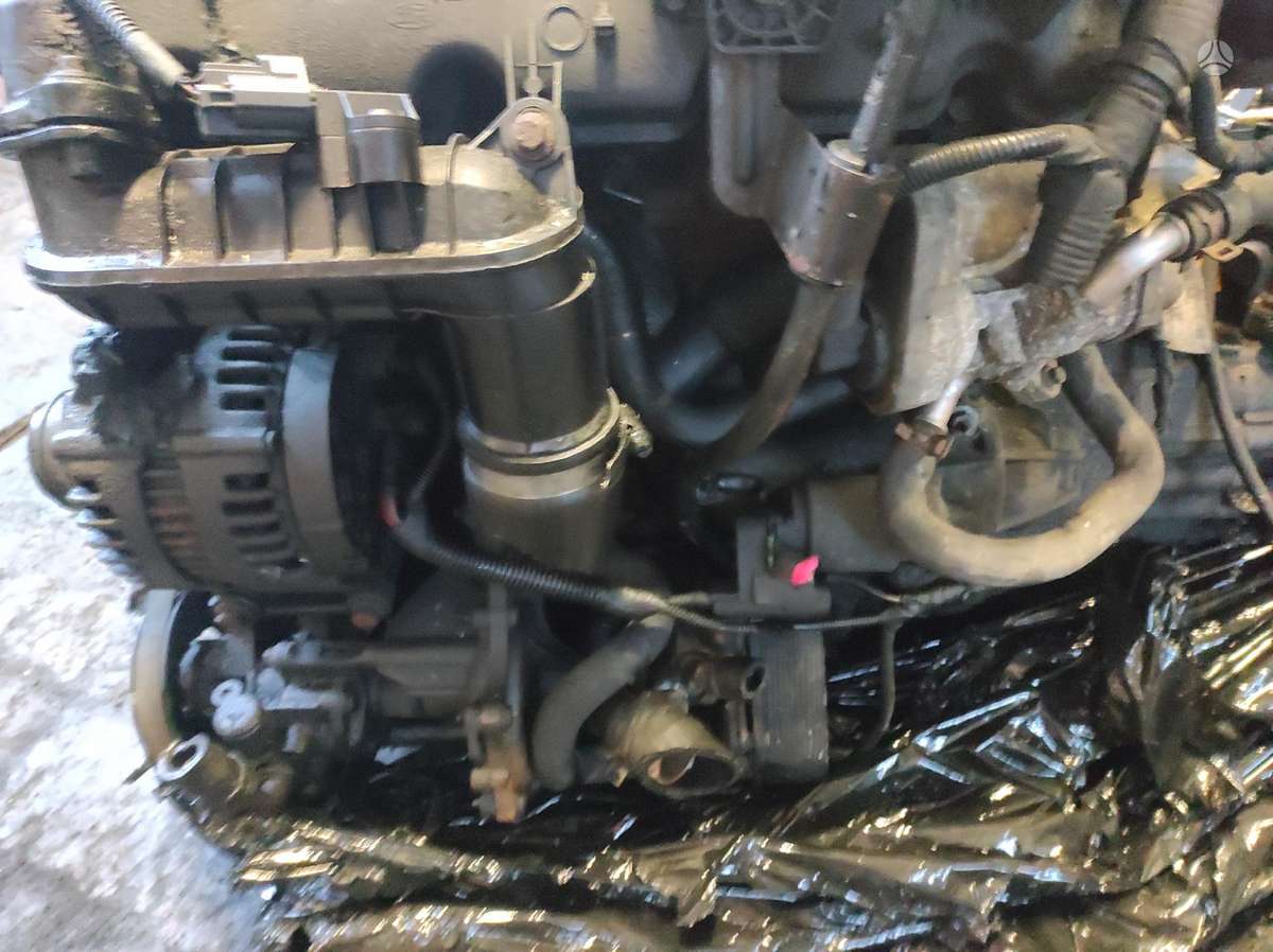 Ford Transit Tik variklis ir dėžė